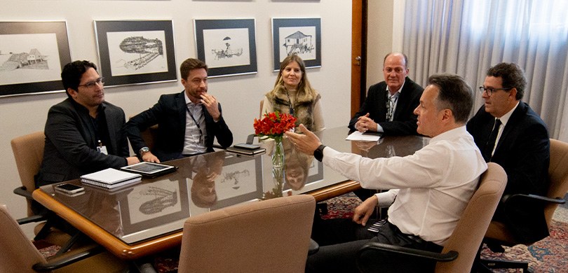 Fotografia de uma mulher e cinco homens sentados em cadeiras marrons ao redor de uma mesa de vid...